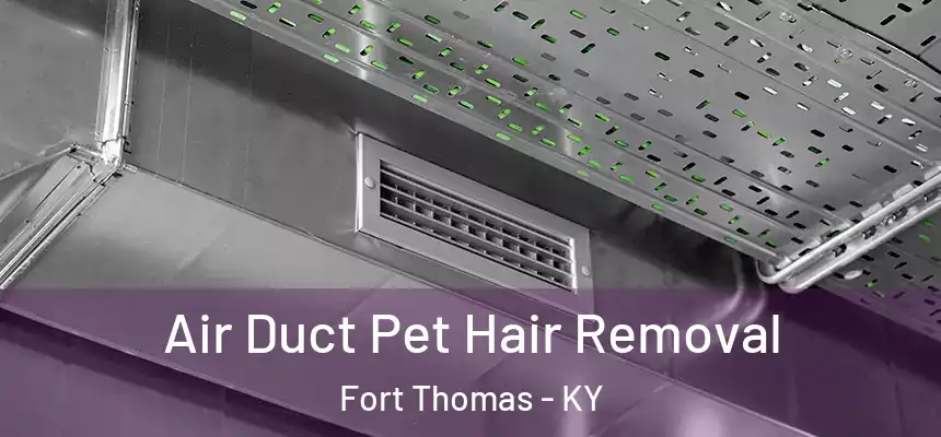  Air Duct Pet Hair Removal Fort Thomas - KY