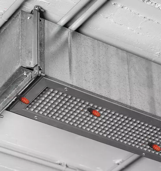About Air Duct Cockroach Removal in Fort Thomas, KY