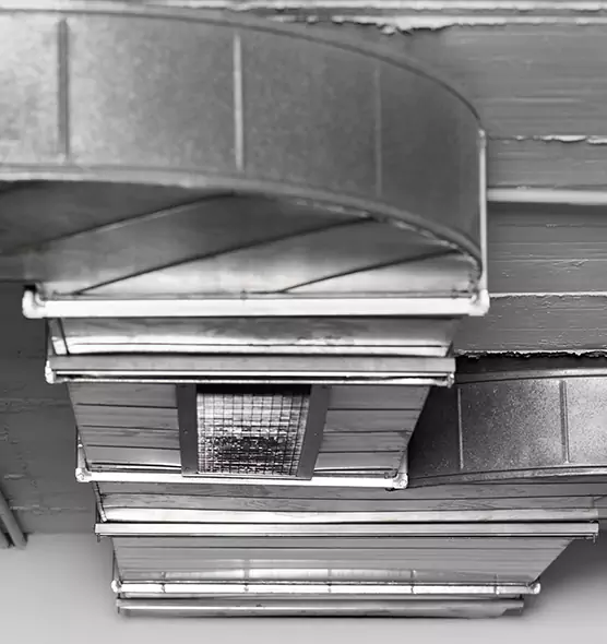 Professional Air Duct Pet Hair Removal in Fort Thomas, KY