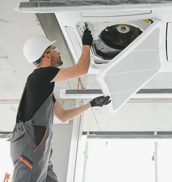 About Air Duct Rodent Removal in Fort Thomas, KY