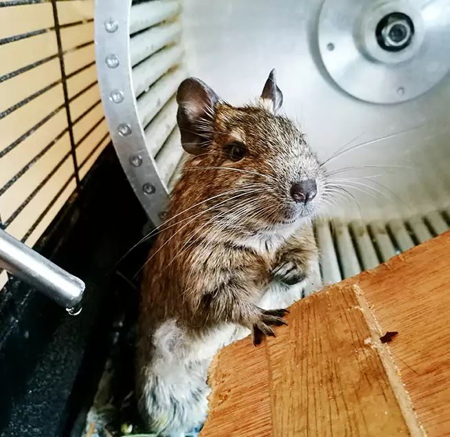 Why Homeowners & Businesses Trust Us Fort Thomas, KY